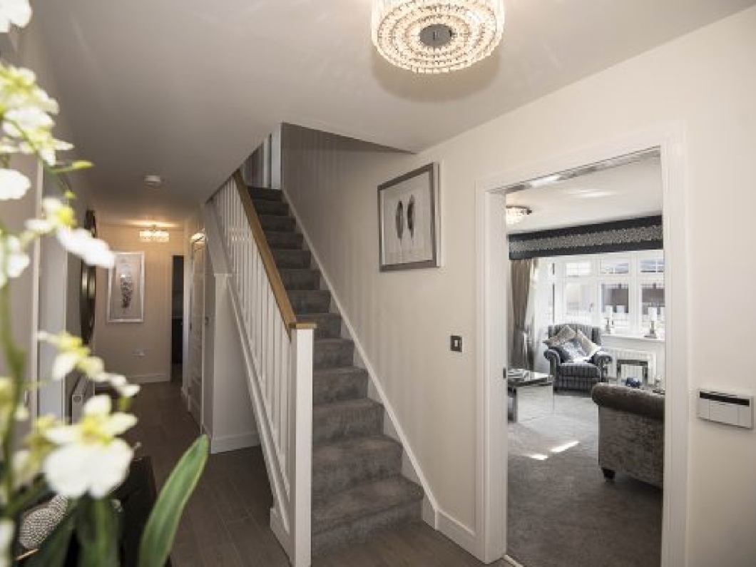 Show room